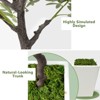 Artificial Tree in Pot with Realistic Leaves & Natural Wood Trunk 5FT/6FT/7FT/8FT - 4 of 4