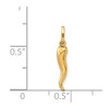 Black Bow Jewelry 14k Yellow Gold Hollow Italian Horn Charm or Pendant, 3 x 19mm - 3 of 4