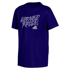 NCAA TCU Horned Frogs Boys' Short Sleeve T-Shirt - 1 of 3