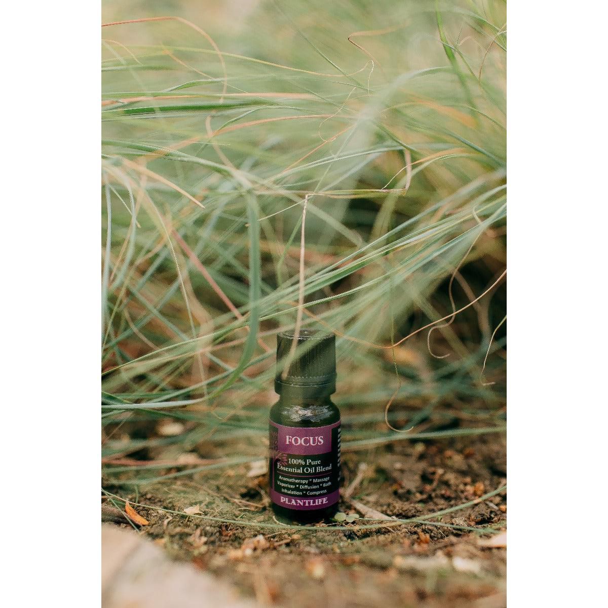 Plantlife Focus Essential Oil Blend – 100% Pure & Therapeutic Grade – Natural, Undiluted – No Additives or Fillers – Made in USA – 10ml Aromatherapy - thumbnail 4