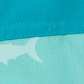 teal blue shark