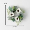 Sullivans Anemone Silvery Wreath - 3 of 3