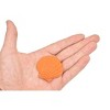 Collectible Wildlife Gifts | Scallop Shell, Lion's Paw, Orange Shell, Ocean, Sea Life, Plastic Model,  Animal, Life Like, Gift,  1 3/4"  F4115 B96 - 3 of 4