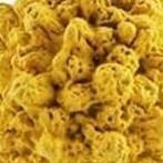 16pcs trees vegetables and fruits toys