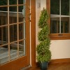 National Tree Company 48" Artificial Juniper Spiral - 2 of 3