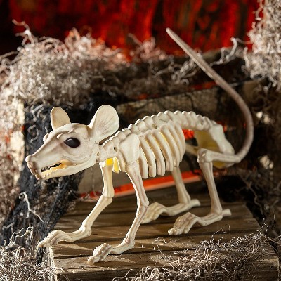 Seasons 24 in Plastic Rat Skeleton Halloween Tabletop Decoration - Off-White