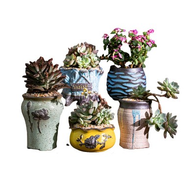 ORRD 5-Piece Succulent Ceramic Planter Set - Vintage Breathable Coarse Pottery Thumb Pots, Small Minimalist Indoor Ornaments
