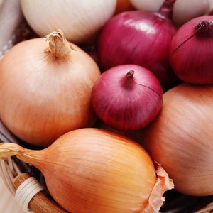 Van Zyverden 250ct Allium Medley White Bulbs - 1 of 4