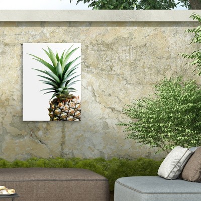 Lexie Greer Pineapple Portrait Outdoor Canvas Print 14x19