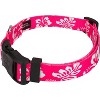 Country Brook Petz Pink Hawaiian Deluxe Dog Collar and Leash - 4 of 4