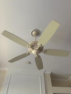 Guest review image 1 of 1, zoom in
