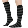 Striped Patterned Knee High Socks from the Sock Panda (Women's Sizes, Adult Medium) - 2 of 3