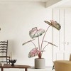 Artificial Caladium Plants,Fake Taro Plants in Pot,Indoor Fake Flower, Decoration Potted Fake Flower for Office Home Living Room Floor Patio Decor - 2 of 4