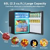 65L RV Refrigerator,APP Control,Refrigeration range (-4℉-46℉),3 levels((H/M/L)) of battery protection, mini fridge for camping, picnics, road trips - 3 of 4