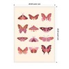 Kate & Laurel All Things Decor 28"x38" Sylvie Vintage Retro Boho Butterflies Framed Canvas by Honey Island Studio White - 3 of 4