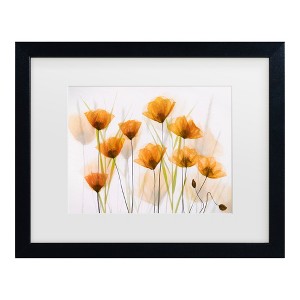 Trademark Fine Art - brigitte van krimpen Poppy Art Matted Framed Art - 1 of 4