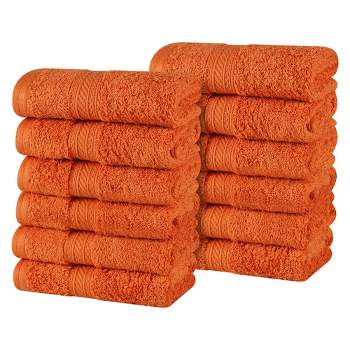 Cotton Plush Soft Highly-Absorbent Heavyweight Luxury Face Towel Washcloth Set of 12 by Blue Nile Mills