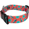 Country Brook Petz 1 1/2 Inch Deluxe Dog Collar Tasty Collection - 2 of 4