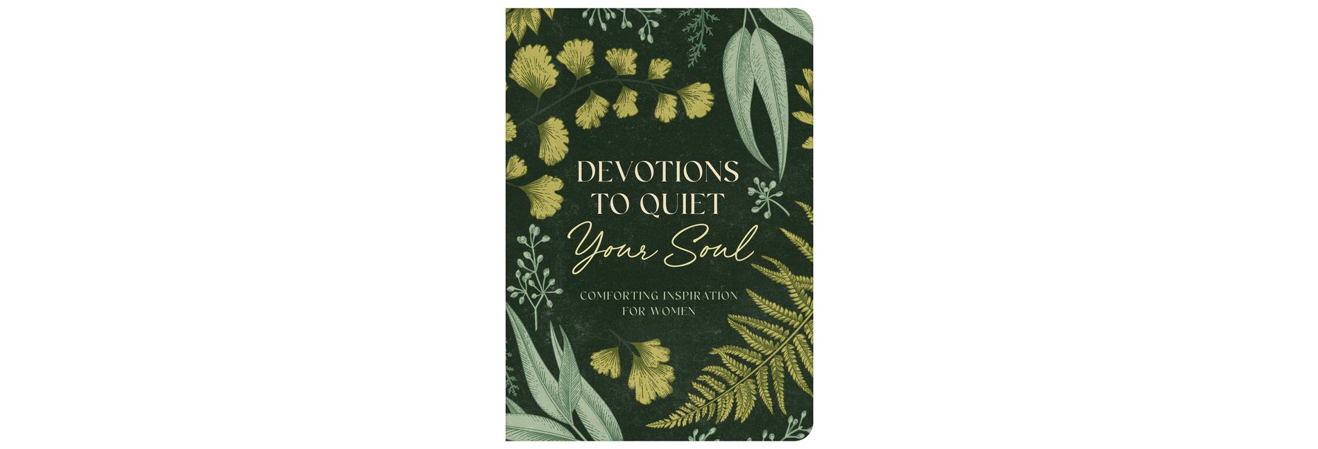 Devotions to Quiet Your Soul - by  Janice Thompson (Paperback)