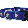 Country Brook Petz Deluxe American Stars Dog Collar - Made In The U.S.A. (1 Inch, Medium) - 3 of 4