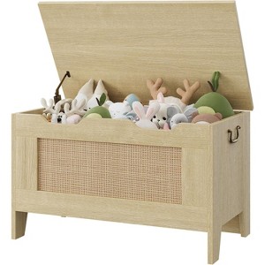 25/30/40 Inch Wooden Toy Chest for Kids, Large Storage Bench with Safety Hinge, Toy Box for Boys and Girls, Entryway, Living Room, Bedroom, Playroom - 1 of 4