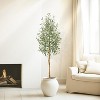 Artificial Olive Trees, Tall Faux Olive Trees with Natural Wood Trunks & Lifelike Fruits, Fake Tree with White Planter for Home Decor - 2 of 4