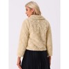 Allegra K Women's Faux Fur Fluffy Collar Cropped Winter Warm Outwear Casual Coat - 3 of 4