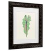 Trademark Fine Art - Francesco Gulina  Alocasia Polly Matted Framed Art - 3 of 4