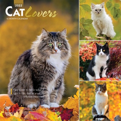 2022 Square Calendar Cat Lovers - BrownTrout Publishers Inc