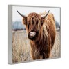 Stupell Industries Grazing Longhorn Cattle Farmland Animal Portrait Black Framed Giclee Art - 3 of 4