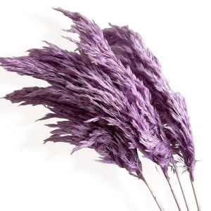 Alilang Decorative Dried Tall Grass Stems for Home Decoration and Floral Arrangements, 27.5 Inches - 1 of 4