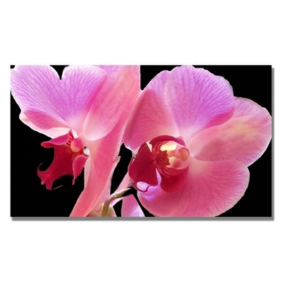 Trademark Fine Art -Kathie McCurdy 'Orchid' Canvas Art