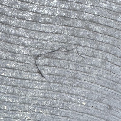 Guest review image 2 of 2, zoom in