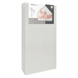 Milliard Memory Foam Dual Sided Crib and Toddler Bed Mattress with Polyester Cover - 1 of 4
