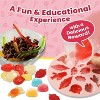 Playz Edible Candy Making Food Chemistry Science Kit for Kids 8-12 with 40+ STEM & DIY Experiments - 3 of 4
