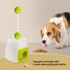 Allforpaws Interactive Fetch-N-Treat Dog Toy, Dog Treat Rewarder for Traning/Enrichment - 4 of 4
