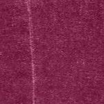 deep claret