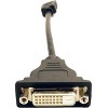 VisionTek HDMI to DVI-D Adapter (M/F) - HDMI to DVI-D adapter - 1 x HDMI Male Digital Audio/Video - 1 x DVI-D Female Digital Video - image 2 of 4