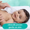 Pampers Aqua Pure Sensitive Baby Wipes (Select Count) - 4 of 4