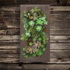 Modern Home Living Wall Galvanized Steel/Zinc Succulent Planter - 3 of 4