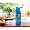 Silver Buffalo Adventure Time "Bros For Life" Water Bottle With Screw-Top Lid | Holds 28 Ounces - 3 of 4