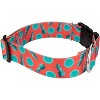 Country Brook Petz 1 1/2 Inch Deluxe Dog Collar Tasty Collection - 3 of 4