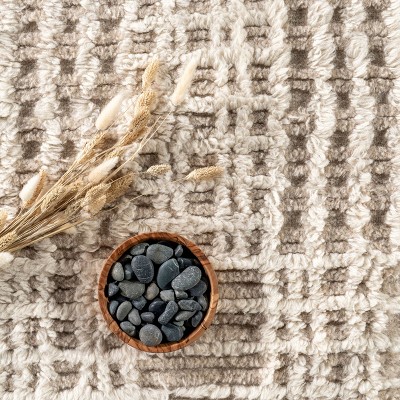 Crissy Crosshatch Shag Wool and Cotton Beige Area Rug