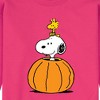 Men's - Peanuts - Snoopy Woodstock Pumpkin Graphic Fleece Sweatshirt - 2 of 4