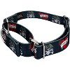 Country Brook Petz Martingale Dog Collar - Attitude Collection - 2 of 4