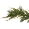 Pine Garland 5.5'L - 2 of 3