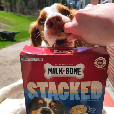 Milk-bone Stacked Molasses And Peanut Butter Dog Treats - 10oz : Target