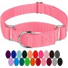 Country Brook Design Martingale Heavyduty Nylon Dog Collar - 4 of 4