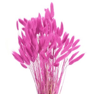 Unique Bargains Decorative Natural Dried Floral Bunny Tail Artificial Plants 120 Pcs - 1 of 4