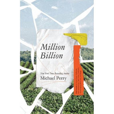 Million Billion - by  Michael Perry (Paperback)